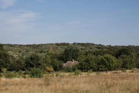 Old thatched cottage in the forest Stock Photos