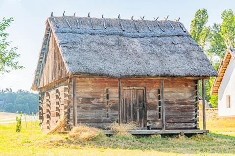 Old thatched log cabin in a serene Central European rural setting, under so.. Foto stock