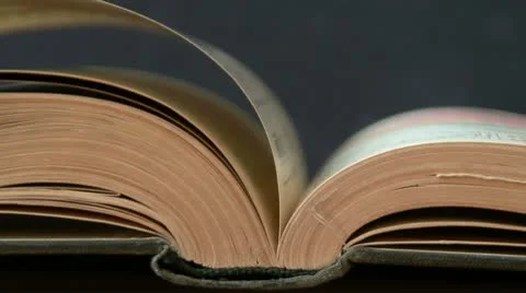 Old, thick book, slowly turned over by wind Stock Footage 10773624