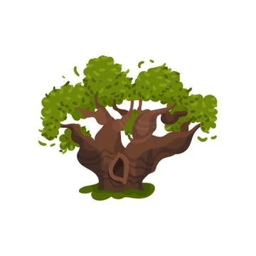 Old thick oak with a hollow. Vector illustration on white background. Ilustración de archivo
