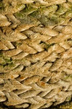 Old thick rope, macro Stock Photos