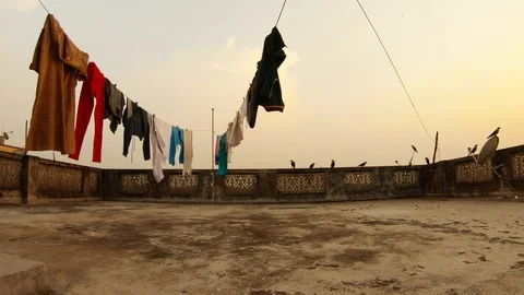 Old threadbare roof drying clothes crows jump Kolkata Stock Footage 105519899