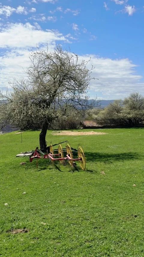 Old threshing machine in pasture with blossom tree and copy space rural Stock Footage 333471697