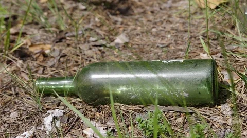 Old thrown out empty green bottle. Trash (waste, garbage) in forest. Closeup Video stock 111963295