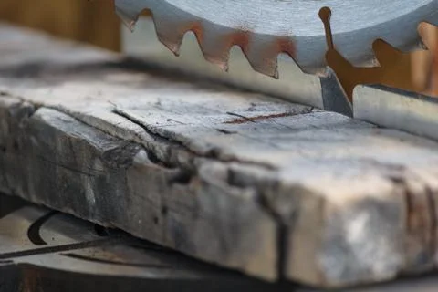 Old timber strip with teeth circular saw in workshop Stock Photos