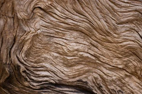 Old timber texture close up Stock Photos