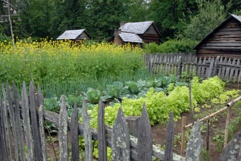 Old time garden Stock Photos