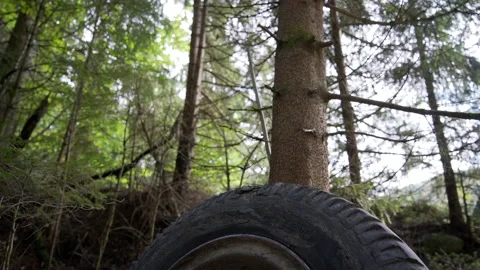 Old tire left in the forest, waste in the forest, ecological disaster concept Stock Footage 158970941