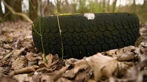 Old tire with moss disposed of in the forest. Problems with environmental p.. Stock Footage 236465357