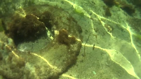 Old tire in the ocean - pollution Stock Footage 151874490