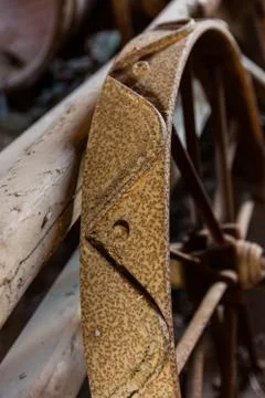 Old tire Foto stock