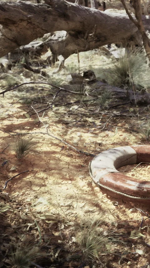 Old tire rests on ground under tree near dry grass in rural area Stock Footage 336573044