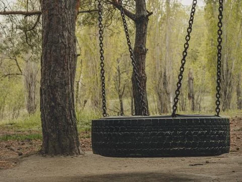 Old tire swing hanging on chains in a forest park Stock Photos