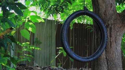 An old tire swing hanging from a tree Stock Footage 241060866