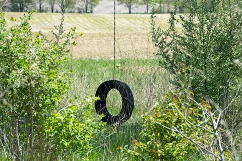Old tire swing Stock Photos