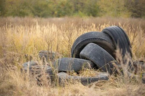 Old tires from car. Foto stock