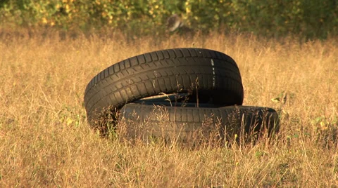 Old Tires In A Field Stock Footage 34304352