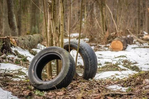Old tires in the forest Foto stock