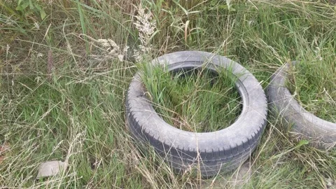 Old Tires on the Grass Stock Footage