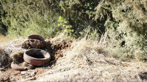Old tires in the woods Stock Footage 33143543