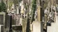 Old tombs on the Lychakiv Cemetery in Lviv, Western Ukraine HD Footage