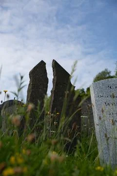Old tombstone broken and split in half behind grass with blue sky background Foto stock
