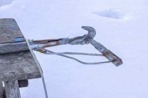 Old tool for pruning trees Stock Photos