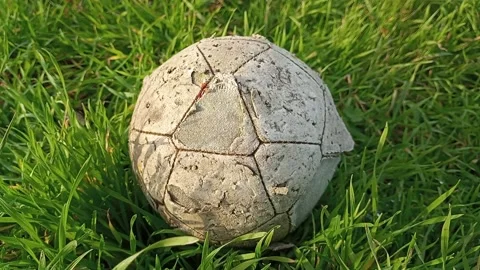 An old tooth-bitten ball on green grass. Video stock 220383889