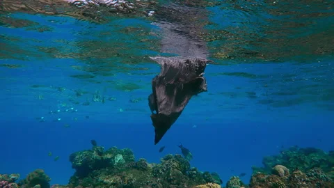 Old torn black plastic bag drifts under waves over top of coral reef on Stock Footage 314218441