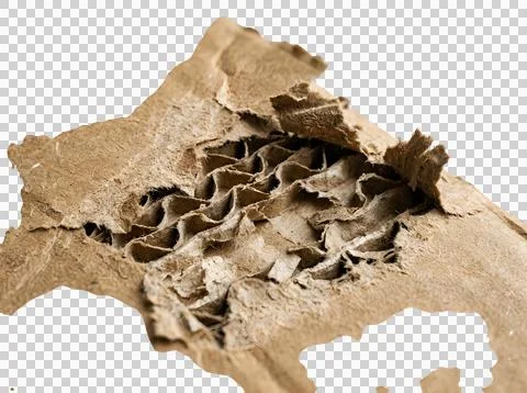 Old torn piece of textured brown paper with rough edges isolated on transpa.. Stock Photos