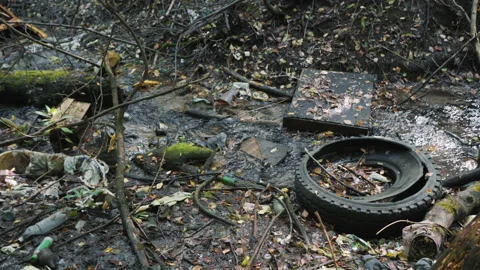 Old torn rubber car wheel near a polluted reservoir Stock Footage 146804965