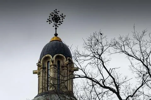 Old tower with a dome, behind a tree. Stock Photos