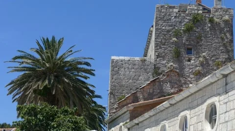 Old Tower walls next to Old Palm Trees Stock Footage 54898289