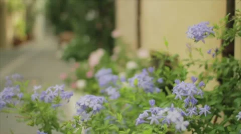 Old Town Stock Footage 10802773