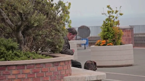 Old Town Minturno An elderly man on a bench with his dog Stock Footage 75027173
