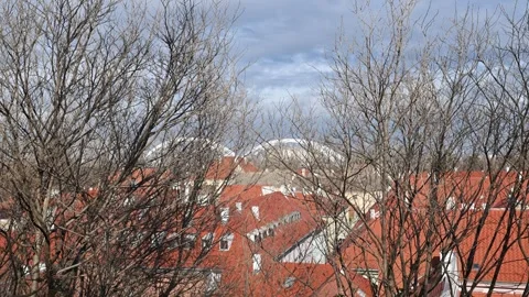 Old town of Petrovaradin viewed through dense tree branches on a sunny wint.. Stock Footage 328536132