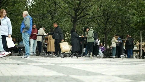 Old Town Square eats ham and sausages, birds pigeons, Staromestske namesti 스톡 동영상 341649054