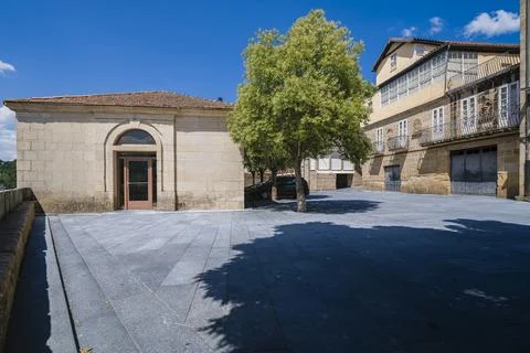Old town square featuring historic stone buildings and a vibrant green tree Stockfoto's