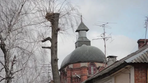 Old town tower with cutted trees at windy cloudy day Stock Footage 120007151