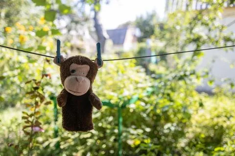 An old toy monkey hanging on a drying line Stock Photos