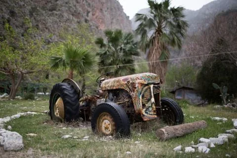Old tractor in the field Stock Photos