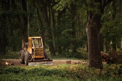 Old tractor on the forest deforestation work Stock Photos