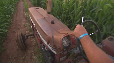 Old Tractor going through Corn Field 2 Stock Footage 39982796