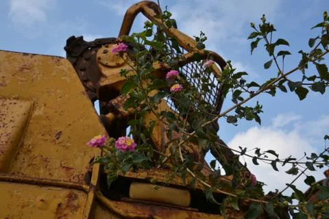 Old tractor Stock Photos
