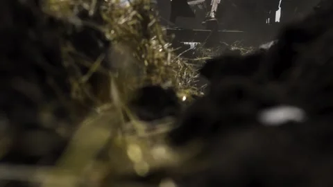 Old tractor plows the field Stock Footage 154427259