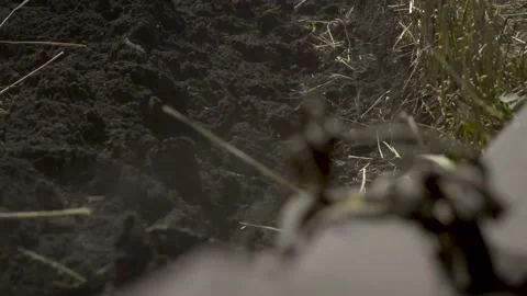 Old tractor plows Video stock 154427265