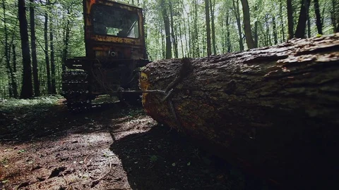 Old tractor pulls a tree trunk in the forest. Stock Footage 129299747
