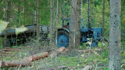 An old tractor with a trailer is driving through the forest. DIY logging. Stock Footage 140248708