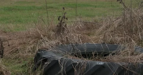 Old tractor tyre in the farm backyard. Stock Footage 167584177