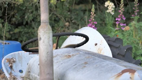 Old tractor with wild flowers Stock Footage 116058289